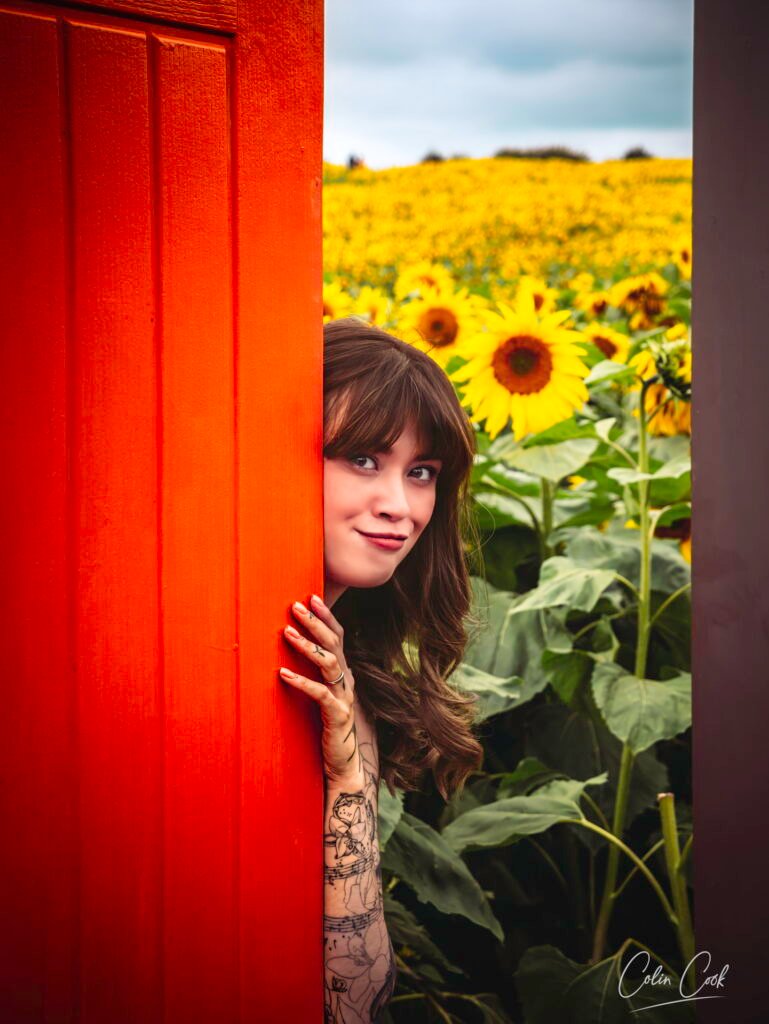 23 08 2025 sharene sunflowers 3 23 08 2025 sharene sunflowers 3